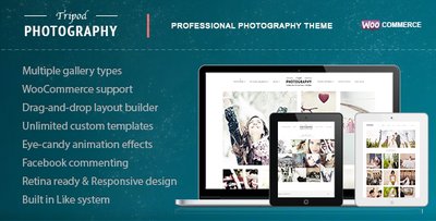 Tripod Professional WordPress Photography Theme