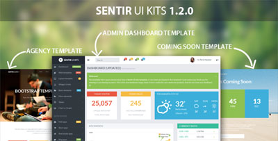 Sentir Admin Dashboard UI and Skins
