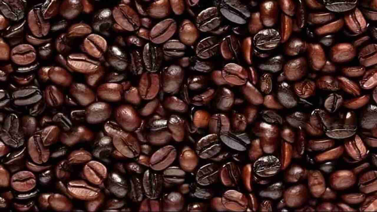 coffe beans optical illusion
